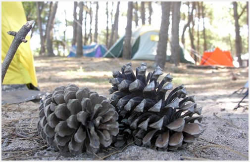 Acampar en Mar Azul es algo único.