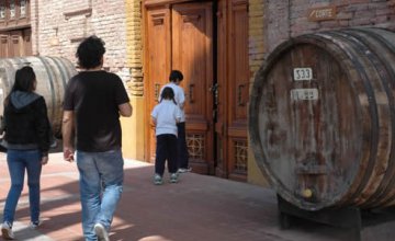 New and Traditional: the Wineries at Maipú