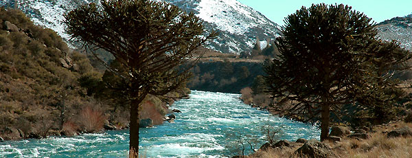 Aluminé River (foto: Jorge González)