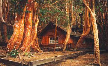 Una casita de cuentos en Villa La Angostura