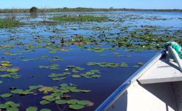 Empieza el calor....se activa la fauna de los Esteros del Iberá