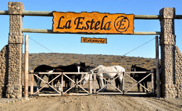 La Estela Ranch, for All Tastes