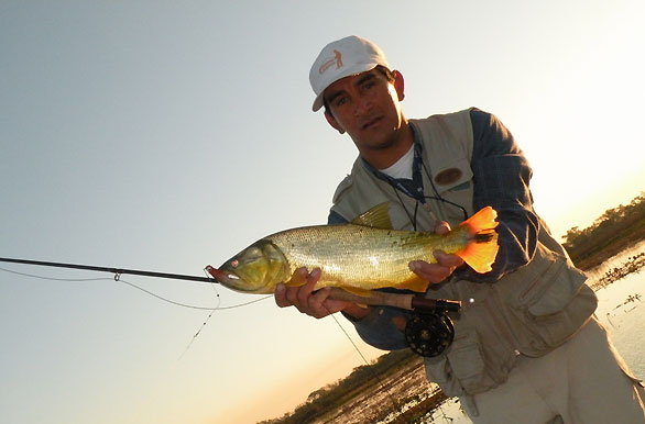 Imagenes de pesca - Fotos de Pesca deportiva en Argentina - Archivo wa-9807