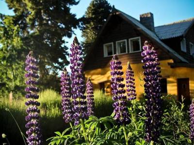 Los Juncos Patagonian Lake House