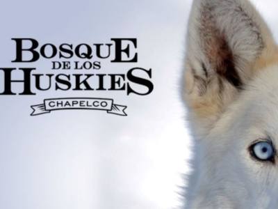 Travesías/expediciones con Trineo de Perros Bosque de los Huskies