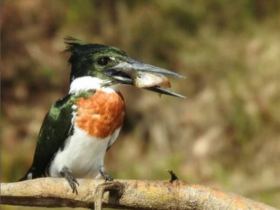 Ecoturismo  Ita I Cora