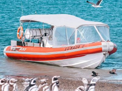 Paseos Marítimos Pinocho Excursiones 