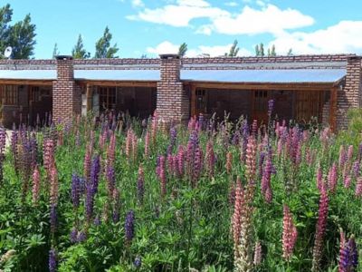 Cabins Pilmaiquen