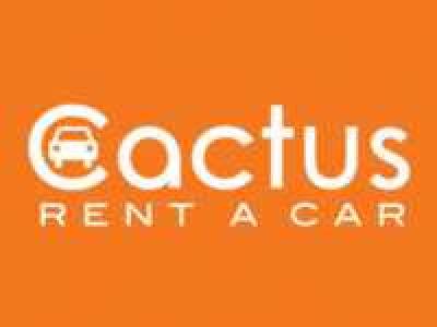 cactus rent a car