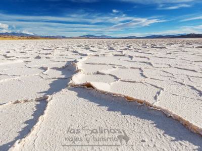 Travel and Tourist Agency Las Salinas Turismo