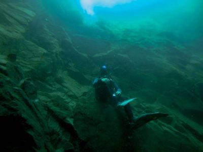 Diving Ardilla Buceo