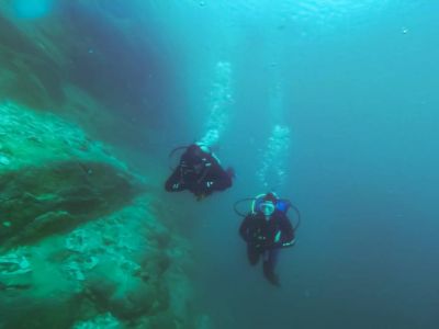 Diving Ardilla Buceo